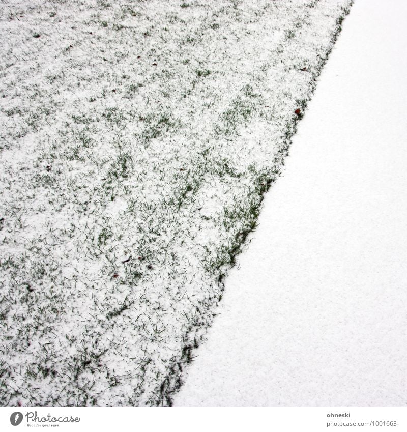 whiteout Elements Earth Ice Frost Snow Garden Meadow Cold White Colour photo Subdued colour Exterior shot Abstract Pattern Structures and shapes Copy Space left