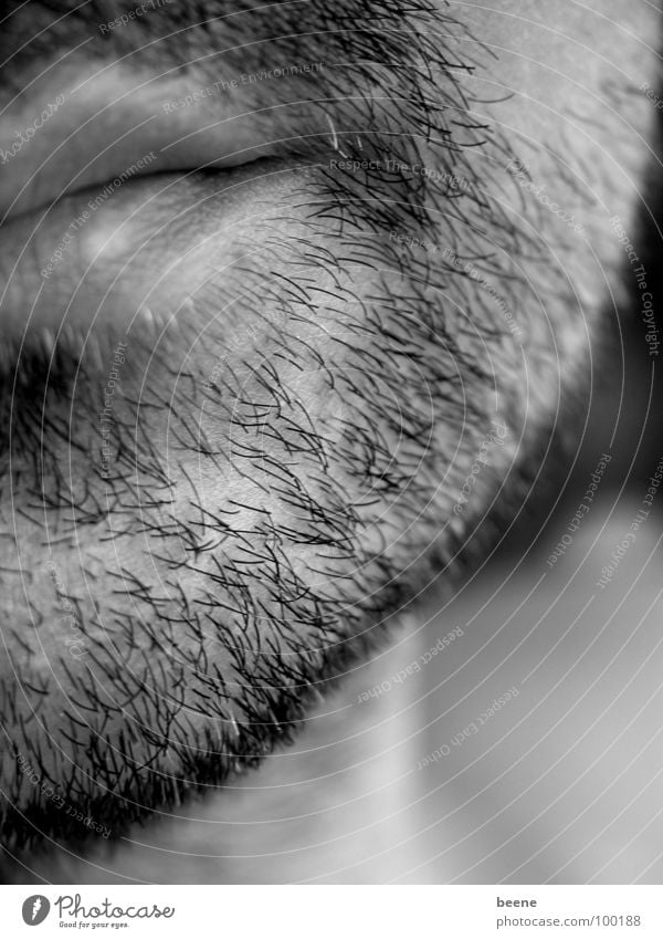 black and white stubbles Facial hair Man Chin Lips Stubble Designer stubble Stopper Face Mouth bearded man Hair and hairstyles Partially visible