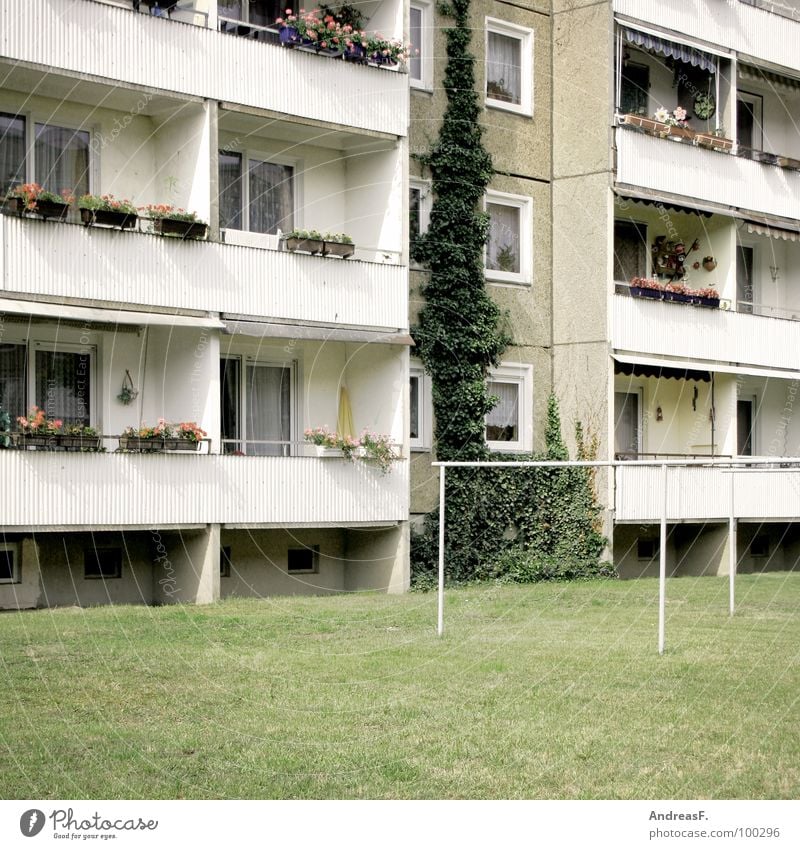 flat Prefab construction House (Residential Structure) Block Tower block Cottbus East Flat (apartment) Balcony Ghetto Social Socialism Window Meadow Gloomy Gray