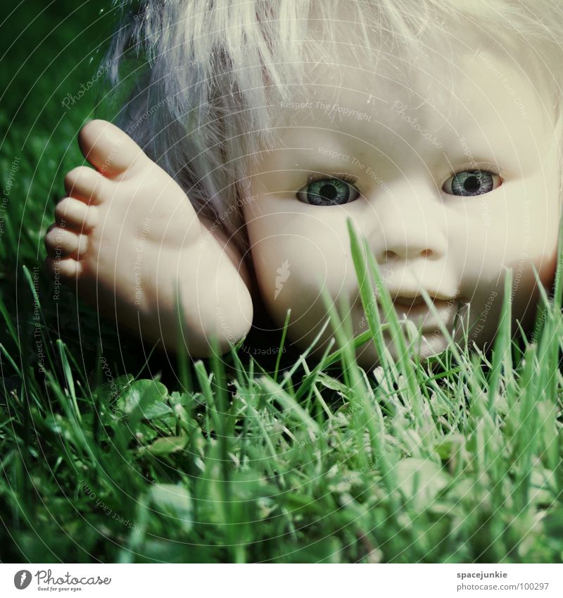 In the grass Toys Threat Alarming Blonde Chucky Creepy Horror film Evil Sweet Cute Whimsical Grass Comfortless Fear Panic Doll Eyes Blue Wild animal