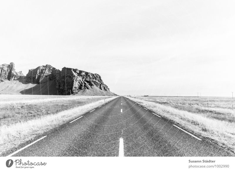 Iceland Street Road marking Rock Sparse Landscape black-and-white Field on one's own