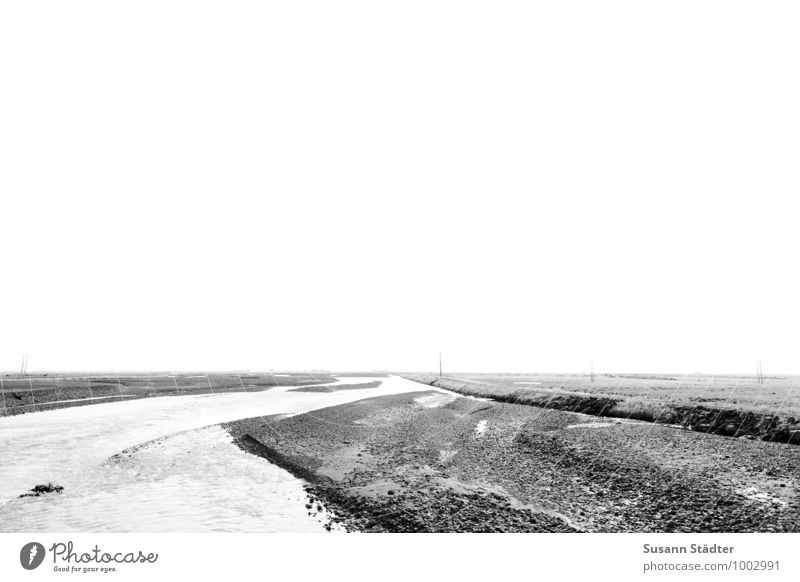Iceland Sparse Landscape Gravel road ballast bed ballast stones River Landscapes Black & white photo