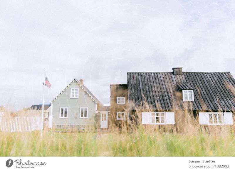 Island Countryside Iceland Village Village idyll grasses House (Residential Structure) Sunlight Exterior shot Colour photo Deserted Horizon Street Building