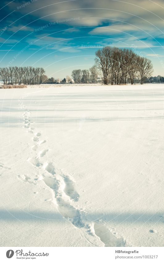 tracks Winter Snow Hiking Nature Landscape Sun Sunlight Ice Frost Cold White Snow track Colour photo Exterior shot Morning Day Light Shadow Long shot Wide angle