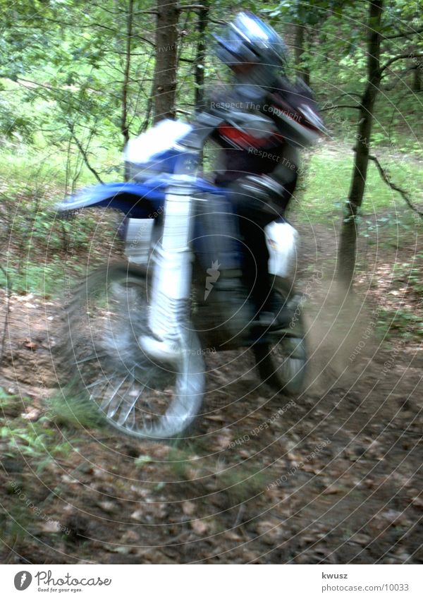Speed in the forest Motorcycle Forest Green Motorsports cross Blue