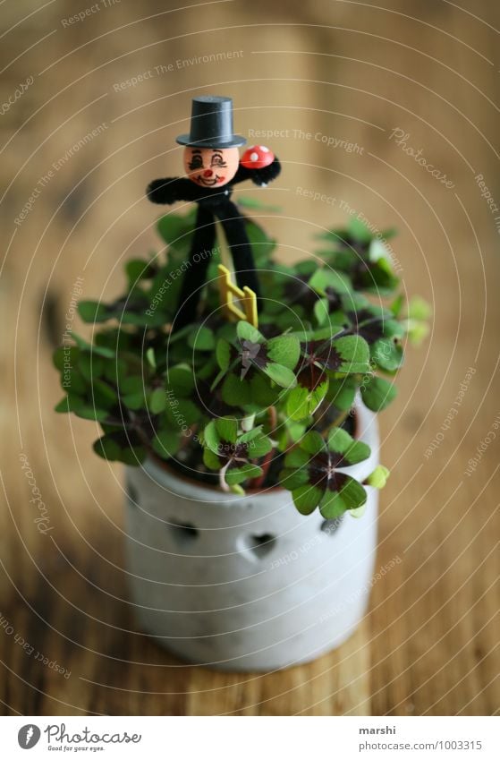 lucky clover Plant Sign Emotions Moody Happy Clover Cloverleaf Chimney sweep Wooden table Symbols and metaphors New Year's Eve Desire Good luck charm