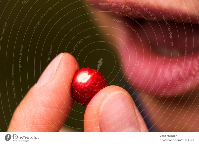 ooooh- in with it! Fruit Mouth Lips 1 Human being Eating To enjoy Delicious Sweet Anticipation Lust Senses wild strawberry Strawberry Colour photo Exterior shot