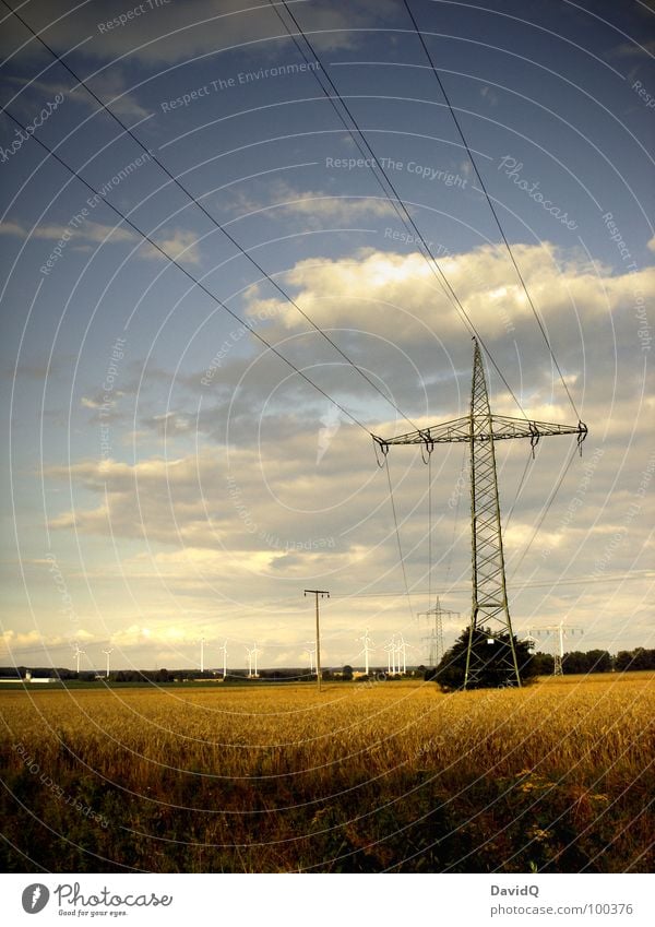 homeland Home country Flat Agriculture Field Cornfield Harvest Energy industry Electricity pylon Transmission lines Wind energy plant Clouds Summer Sky Americas