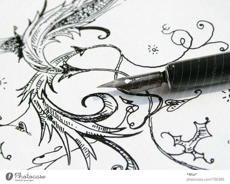 Curlicue II Ink Flower Black White Painted Earmarked Paper Feather Draw Image Shadow