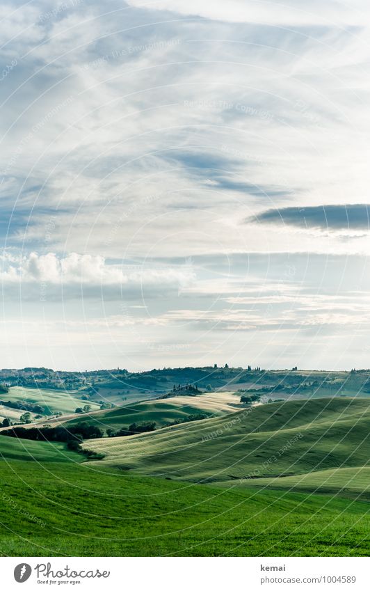 Tuscany as Tuscany can Vacation & Travel Tourism Trip Environment Nature Landscape Plant Sky Clouds Sunlight Summer Beautiful weather Foliage plant Field Hill