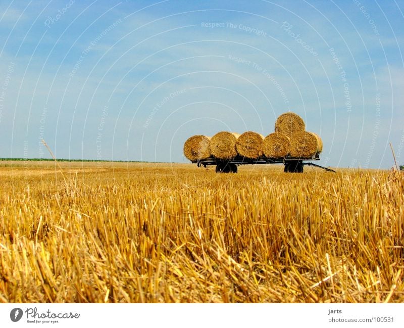 "6" Hay bale Bale of straw Field Cornfield Agriculture Work and employment Closing time Organic farming Summer Transport Harvest grain Americas Sky Followers