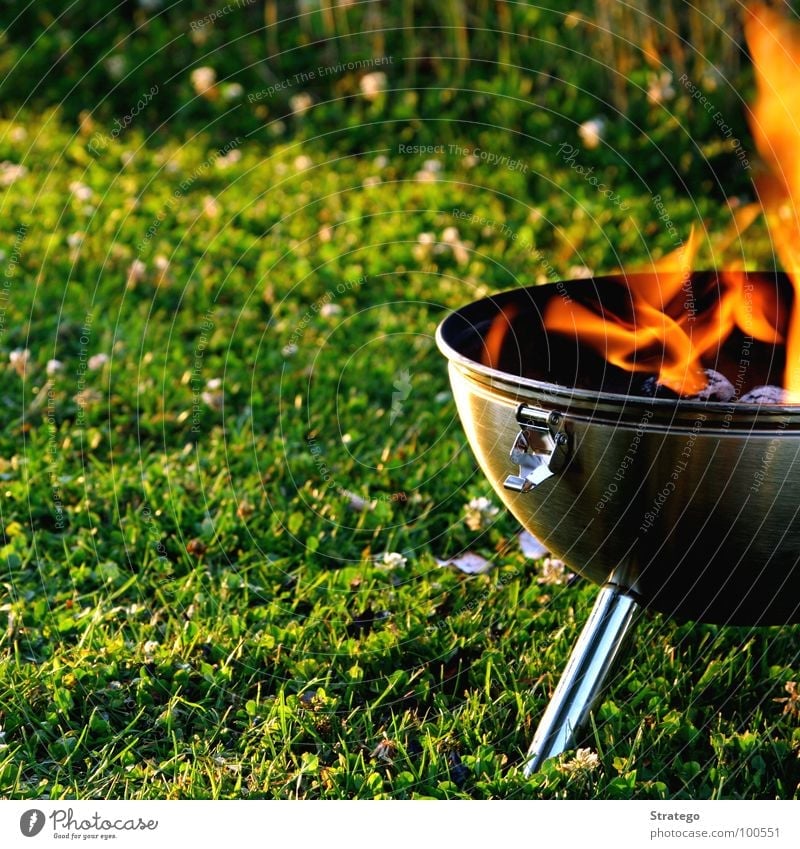 Ain't no thing... Barbecue (apparatus) Wood Embers Mainstay Meadow Hot Green Buckle Tin Dinner Lake Grass Summer Physics Fire Blaze Spark Sphere grill Nutrition