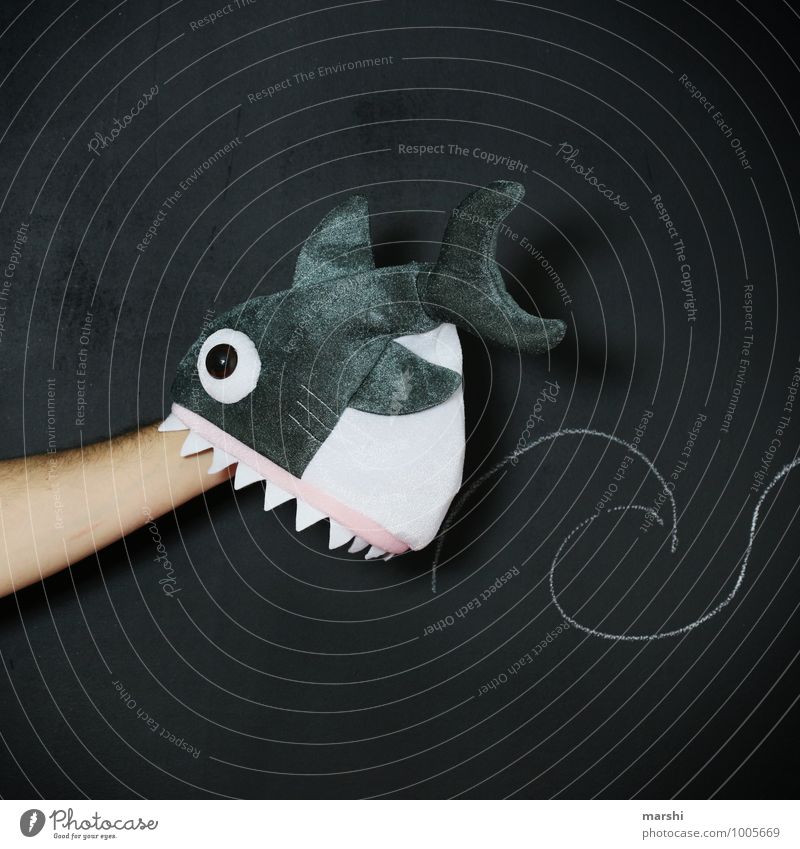 shark attack Animal Wild animal 1 Aggression Emotions Moody Shark Attack Chalk Signs and labeling Funny Idea Arm Bite Threat Dangerous Surfing Athletic