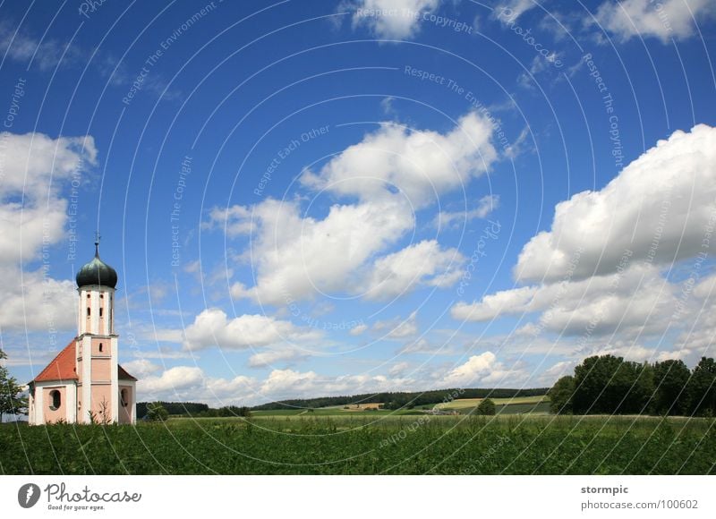 Bavaria white-blue Clouds Onion tower Summer Clean Green Peace Calm Break Prayer House of worship Panorama (View) Americas Landscape Sky Religion and faith