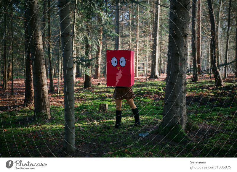 peep Carnival Human being 1 Environment Nature Landscape Tree Moss Forest Mask Boots Bird Crazy Cardboard box Dress up Colour photo Exterior shot Day