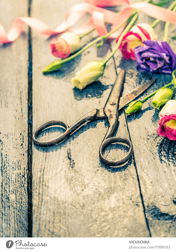 Old scissors and flowers with bow Style Design Garden Interior design Decoration Feasts & Celebrations Plant Flower Blossoming Moody Spring fever Nature