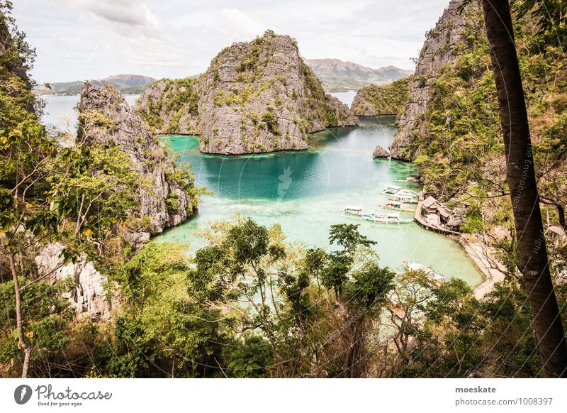 Coron Island Vacation & Travel Tourism Trip Adventure Far-off places Expedition Summer Summer vacation Sun Ocean Nature Water Weather Beautiful weather Tree