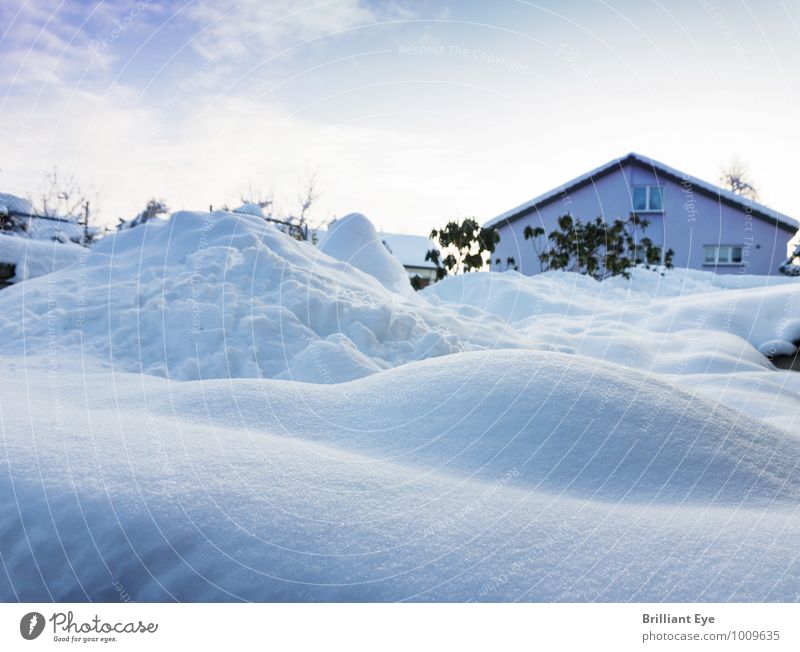Landscape sunk in the snow Design Winter Environment Nature Climate Snow Snowfall Garden Meadow House (Residential Structure) Esthetic Blue White Homesickness