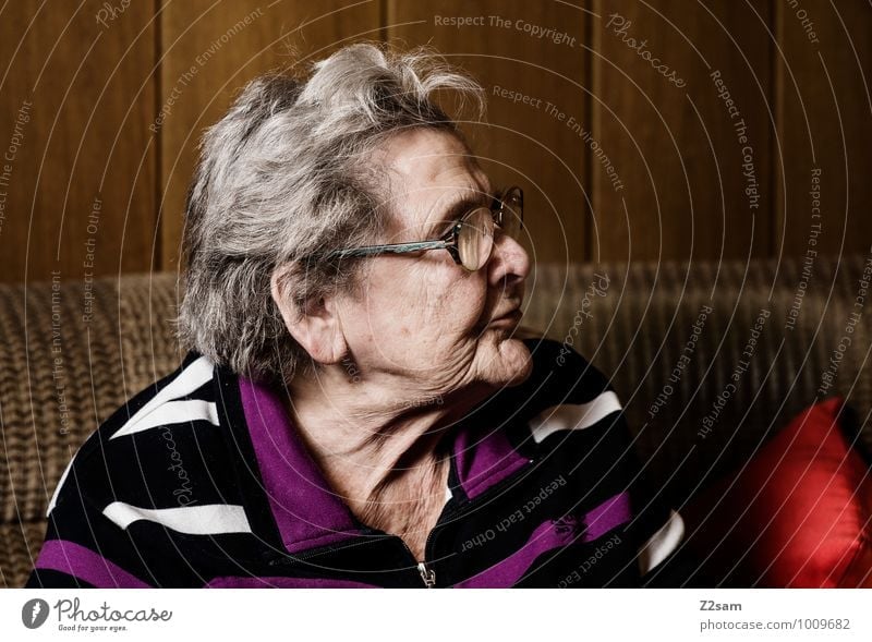 gran Healthy Care of the elderly Feminine Female senior Woman Grandmother 60 years and older Senior citizen Sweater Eyeglasses White-haired Observe Sit Dream