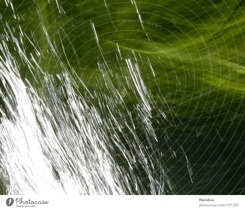 light painting Light Green Glittering White Abstract Background picture Line Painting and drawing (object) Brook Chirping Sunlight Long exposure Leaf Current