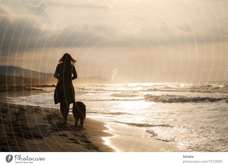 Woman with dog relaxing on the beach in the evening Beach Lifestyle Waves Harmonious Well-being Contentment Relaxation Calm Fragrance Leisure and hobbies Ocean