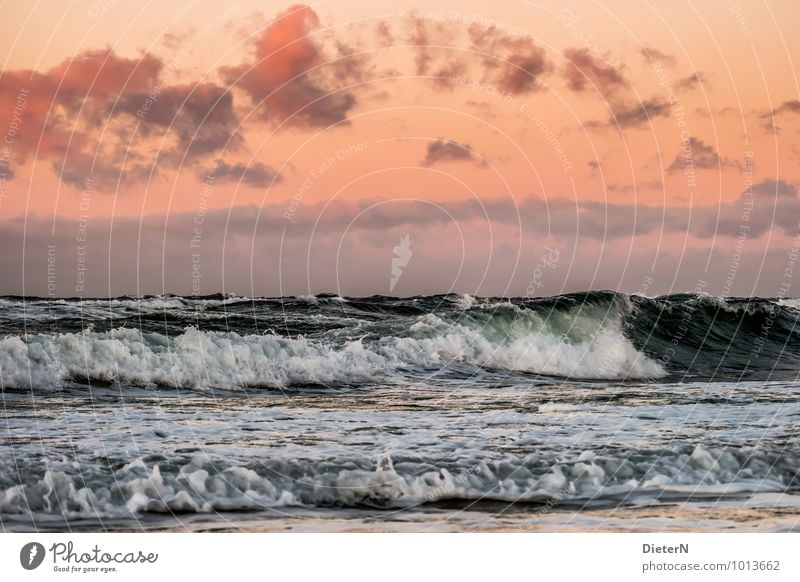 waves Nature Water Sky Clouds Weather Beautiful weather Wind Gale Waves Coast Baltic Sea Orange Black White Force Horizon White crest Clouds in the sky