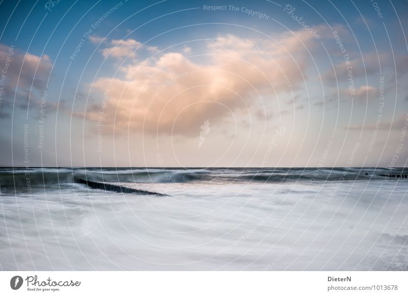 On the move Environment Nature Landscape Elements Water Sky Clouds Weather Beautiful weather Wind Gale Fog Waves Coast Beach Baltic Sea Ocean Blue Yellow Black