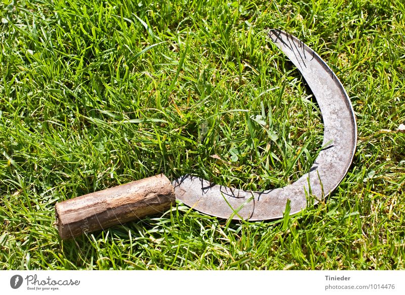 sickle Gardening Agriculture Forestry Tool Summer Grass Meadow Tradition Cutting tool Reap Colour photo Close-up Day Bird's-eye view
