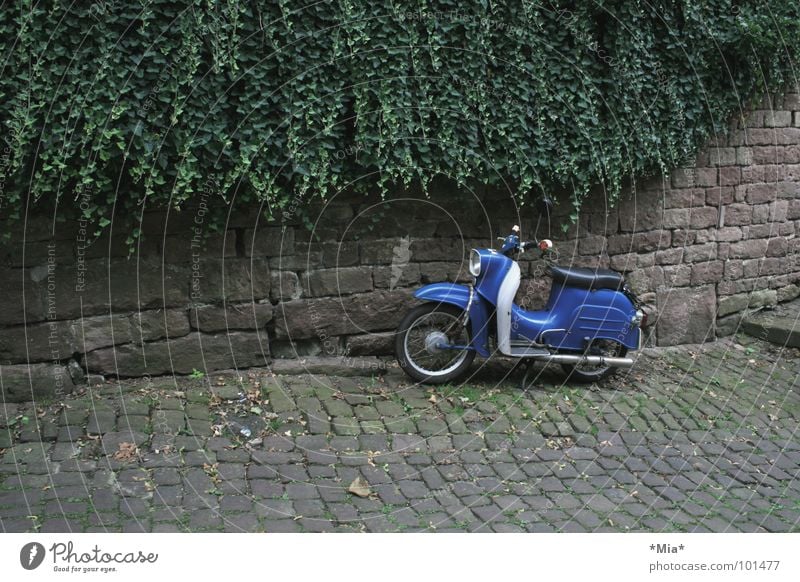 - parked - Scooter Vehicle Green Brown Wall (barrier) Dark Transport cobblestone pavement Plant Blue Bicycle handlebars Seating Subdued colour Parking