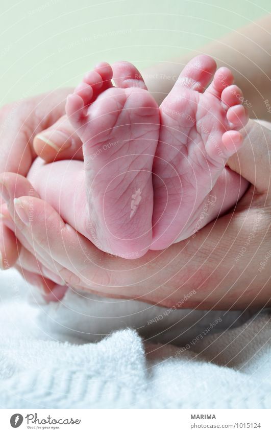 close up of baby feet Beautiful Child Baby Woman Adults Mother Hand Fingers Rose Love Lie New Pink Barefoot Thumb heel Feet Sole of the foot Shoe sole foots