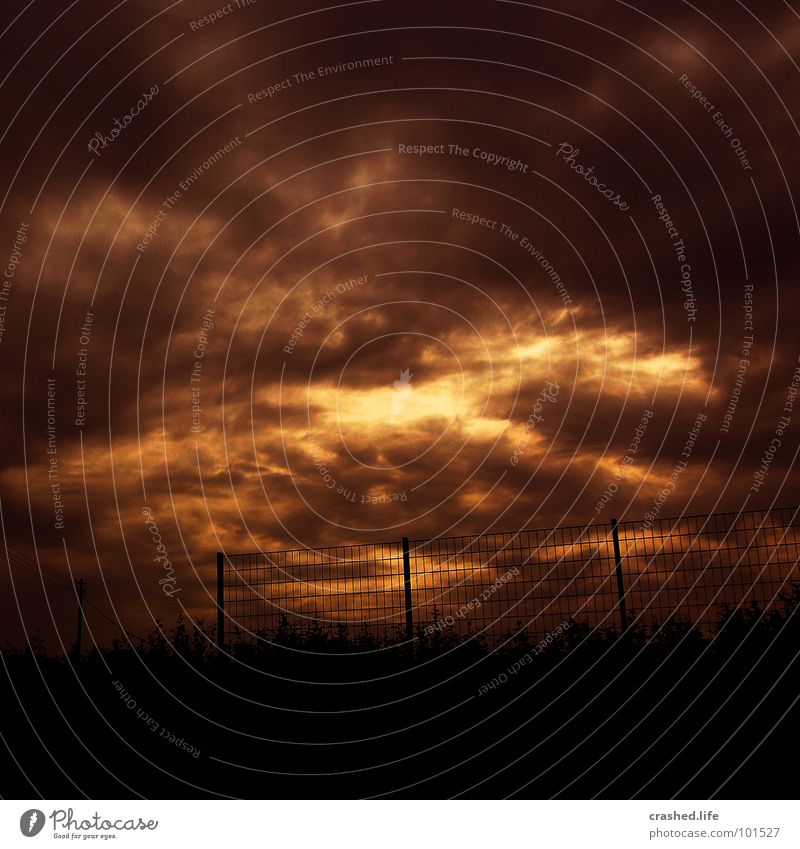 downfall Fence Clouds False Electricity pylon Brown Grief Distress Fear Panic Sky Death Surrealism Sunset