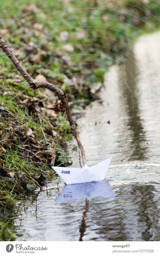 homemade | paper boat II Playing Boating trip Paper boat Maritime Brown Green Watercraft Self-made Brook Banks of a brook Surface of water Play instinct