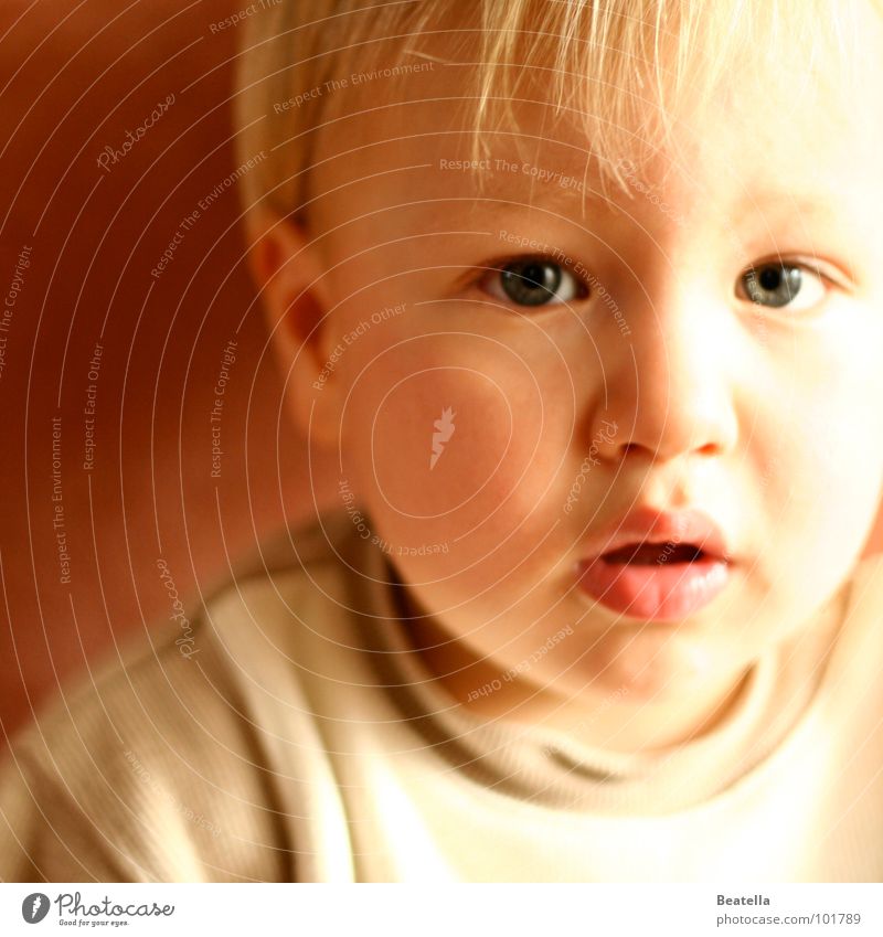 Don't look at me so questioningly. Child Toddler Longing Boy (child) Eyes Mouth Smooth Ask