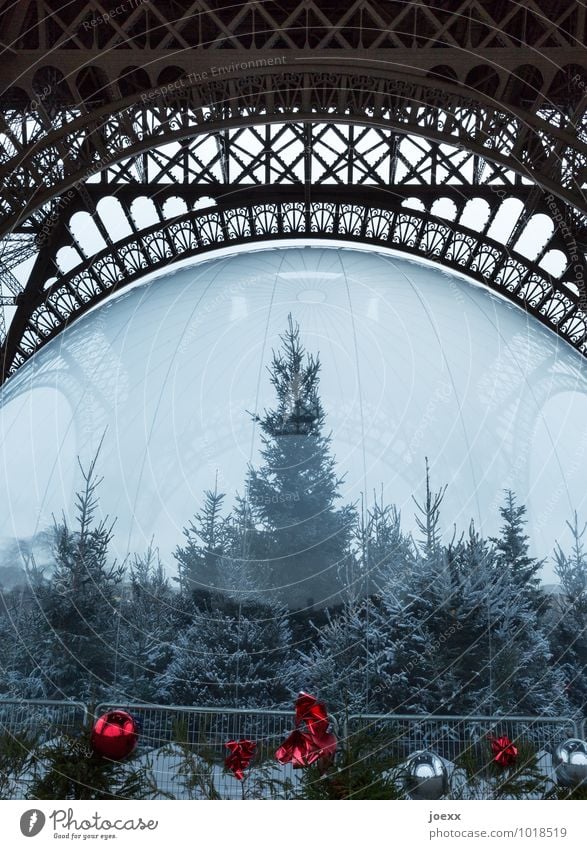 Paris Winter Fir tree Eiffel Tower Sphere Large Gray Red Black Silver Cold Colour photo Subdued colour Exterior shot Detail Deserted Day Contrast Silhouette