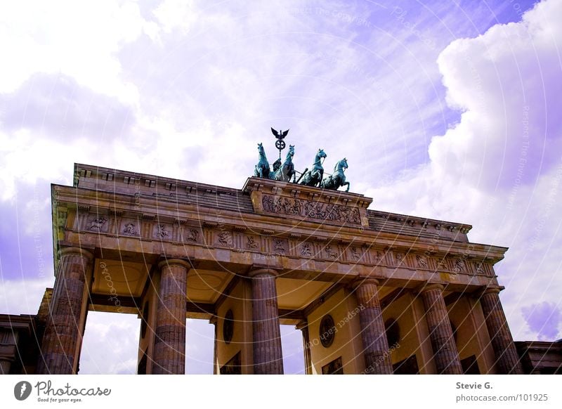 Berlin horse tour Horse Worm's-eye view Building Monument Landmark Sky Brandenburg Gate