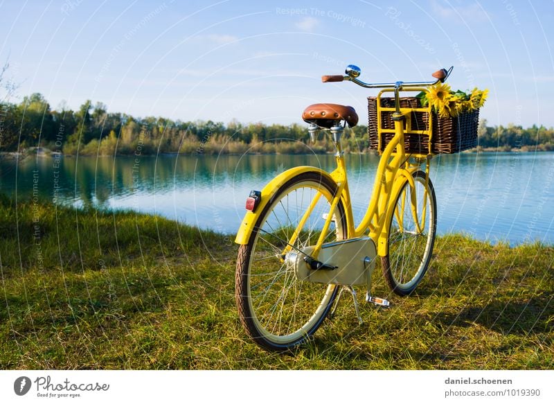 the other day at the quarry pond Leisure and hobbies Trip Cycling tour Summer Sun Lake Blue Yellow Relaxation Calm Colour photo Exterior shot Deserted