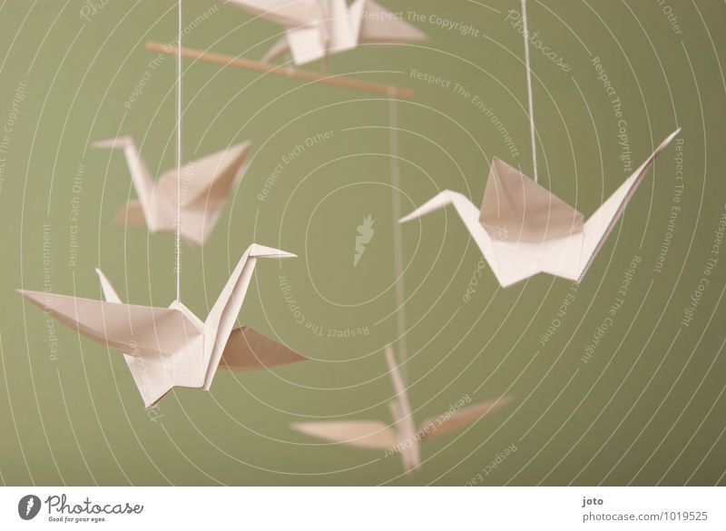 above the heads Design Contentment Relaxation Calm Baptism Infancy Animal Bird Paper Flying Hang Free Maritime Modern Sustainability Serene Peace Ease Mobility
