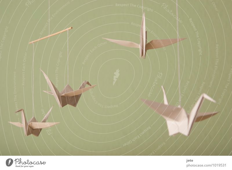 origami Design Contentment Relaxation Calm Baptism Infancy Animal Bird Paper Flying Hang Free Maritime Modern Sustainability Serene Mobility Dream Marionette