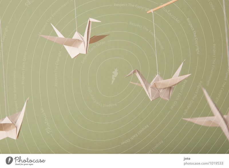 floating cranes Design Contentment Relaxation Calm Baptism Infancy Animal Bird Paper Flying Hang Free Maritime Modern Sustainability Serene Ease Crane Hover