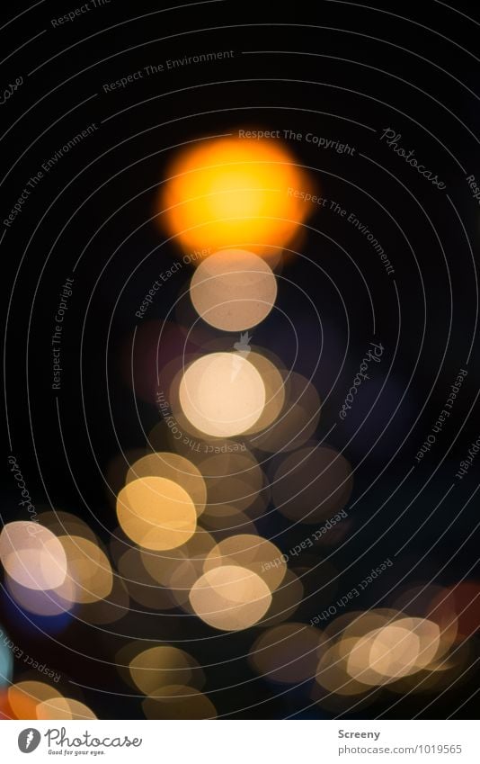 on top... Event Christmas Fair Christmas & Advent Glittering Illuminate Yellow Gold Moody Blur Colour photo Multicoloured Exterior shot Abstract Deserted
