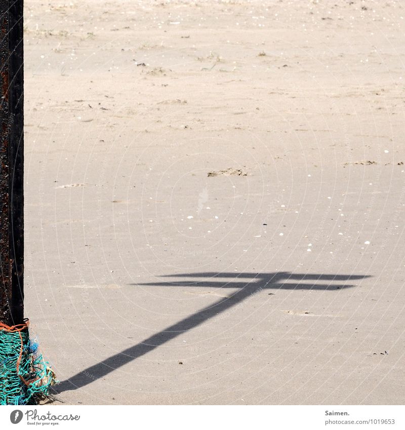 always direction sea Nature Sand Coast Beach North Sea Movement Direction Trend-setting Road marking Shadow Shadow play Reticular Pole Exterior shot Abstract