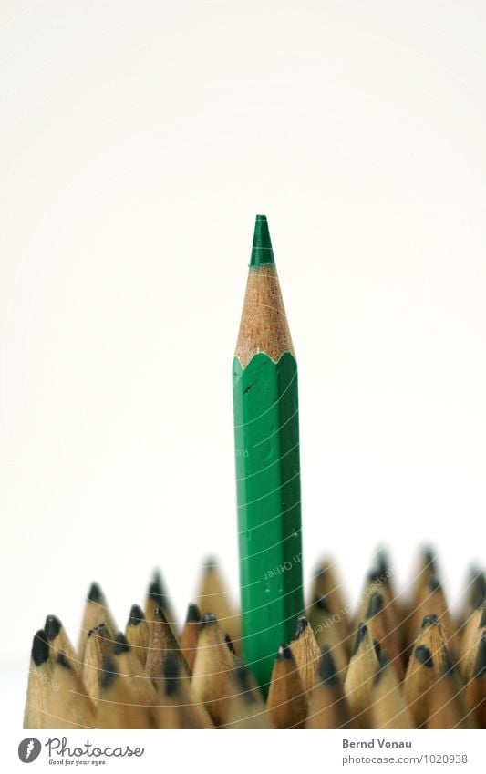 green Pen Brown Gray Green Pencil Crayon Point Ambitious Above Career Politician Wood wooden pen Multiple Assertiveness Geek Office Creativity Write Draw