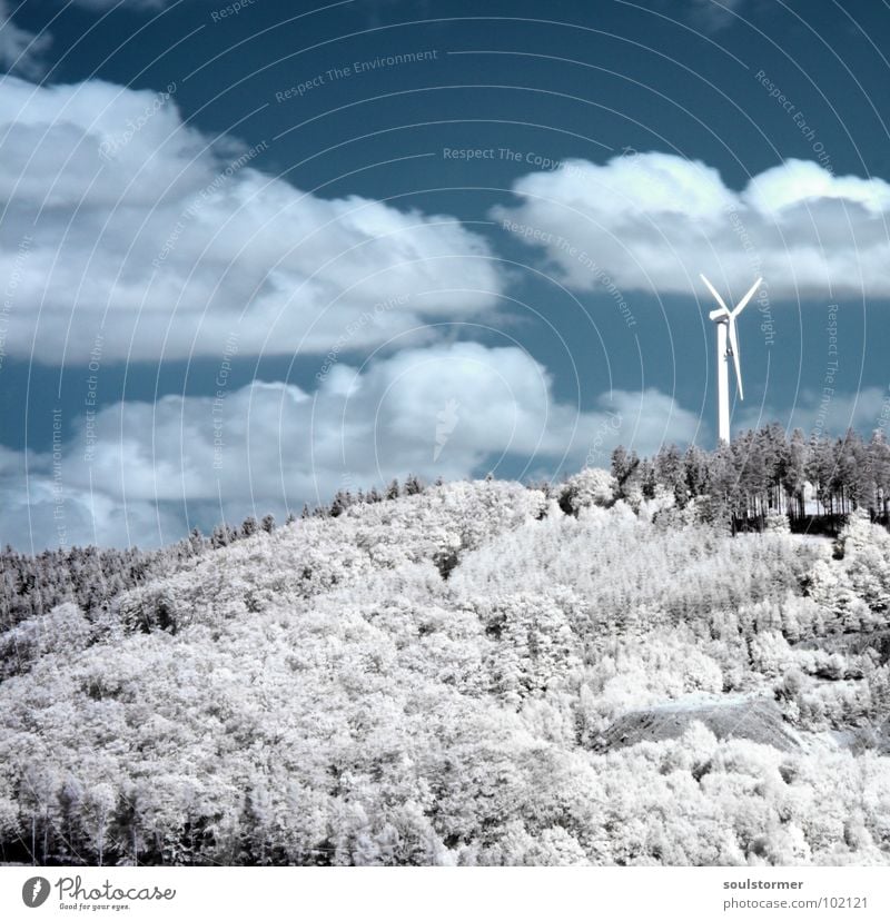wind power Infrared Infrared color Black filter Clouds White Wood flour Grass Meadow Plant Green Tree Forest Edge of the forest Clump of trees Electricity