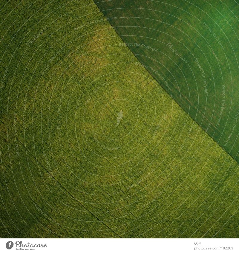 treasure map Background picture Surface structure Grass green Pattern Abstract Copy Space Green space Field Agriculture Bird's-eye view Diagonal
