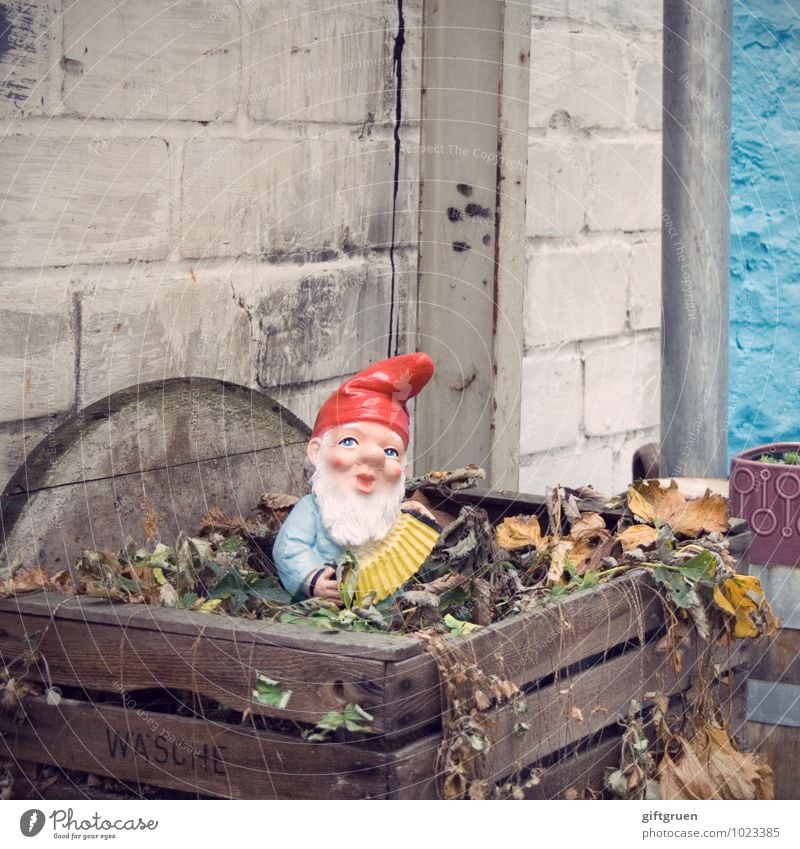there I sit now... Human being Masculine Male senior Man 1 Stand Old Blue Red Nostalgia Tradition Past Garden gnome Santa Claus hat Accordion Compost