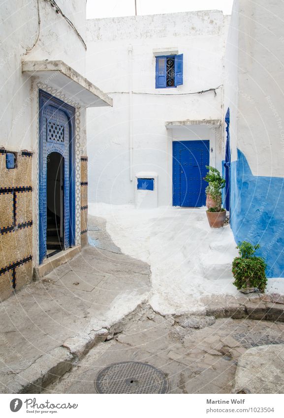 Kasbah de Oudaïa Rabat Morocco Africa Old town House (Residential Structure) Vacation & Travel Living or residing Blue White Alley Exterior shot Deserted Day