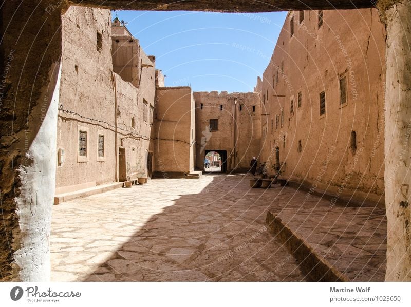 kasbah Cloudless sky Morocco Africa Village Wall (barrier) Wall (building) Vacation & Travel antiatlas Loam Mosque Passage Colour photo Exterior shot Day