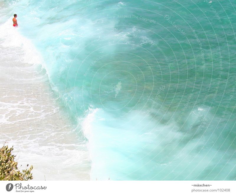 wave dream Waves Ocean Greece Man Tree Turquoise Debauched Vacation & Travel Relaxation Jump Stand Summer Water Cuba Mediterranean sea boy Men Blue Joy