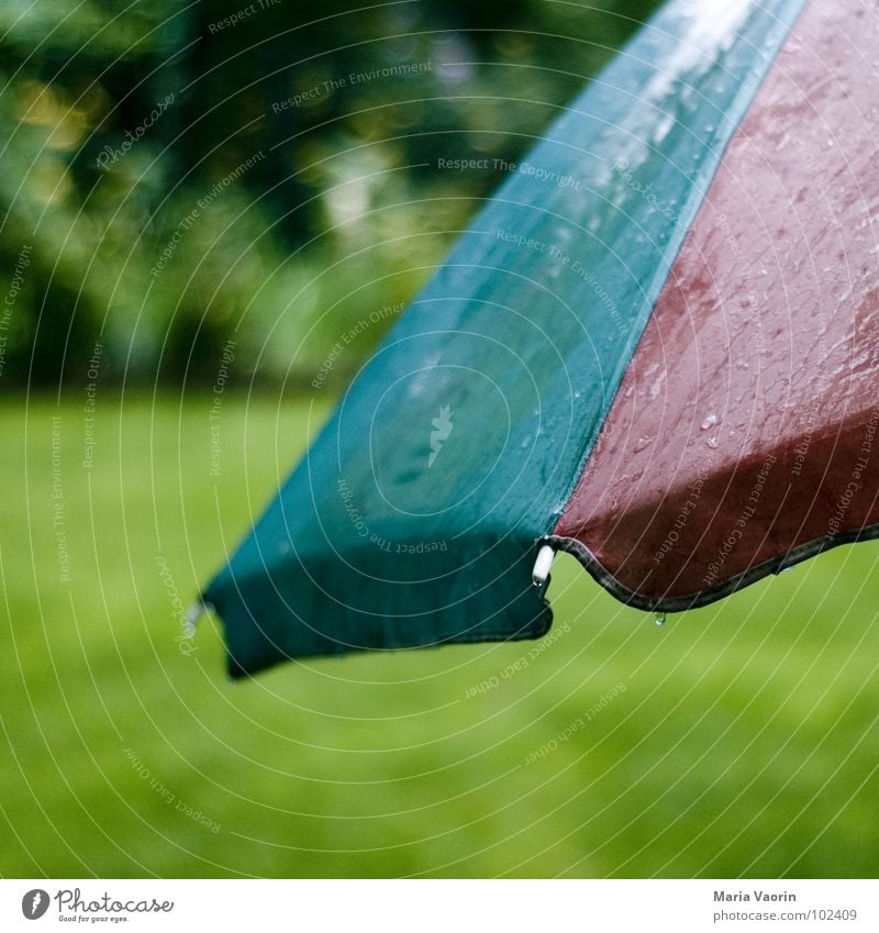 all-weather protection Sunshade Umbrella Thunder Wet Water Rain Dreary Bad weather Storm Damp Summer Autumn Reluctance Thunder and lightning Furniture Weather