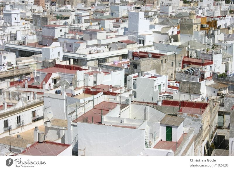 Above the roofs of Cadiz Spain Andalucia Tower Roof Pirate Roof terrace Red White Covered market Vacation & Travel Summer Physics Tourist Tourism Africa